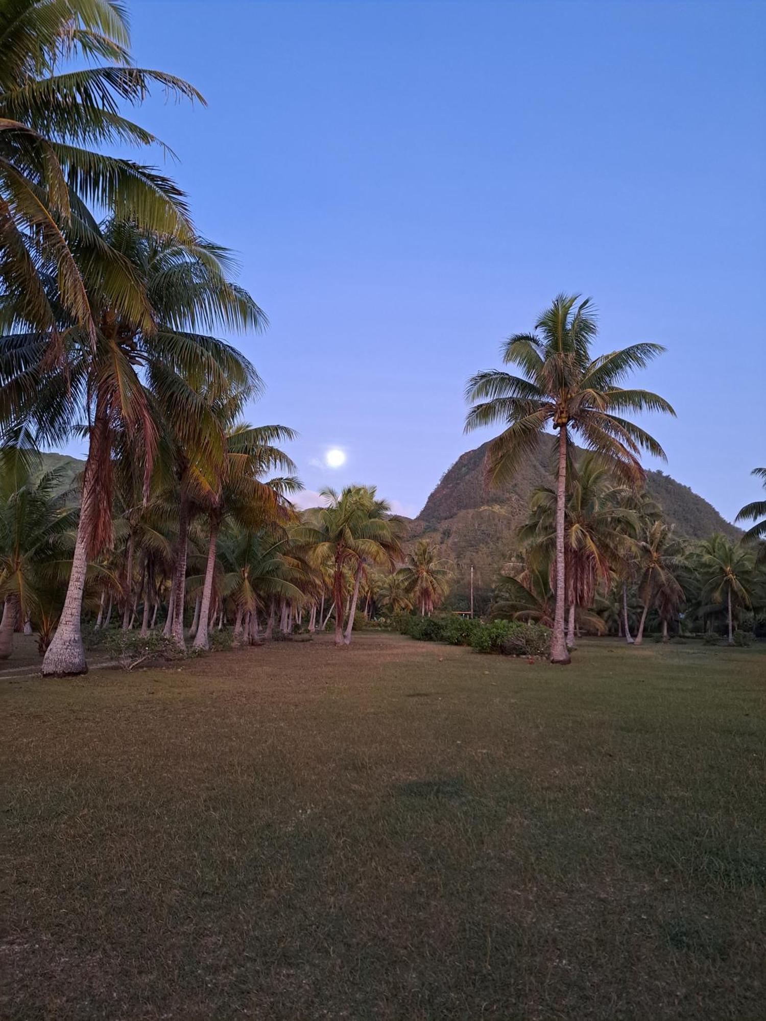 Tifaifai Et Cafe Huahine Bed and Breakfast Fare Buitenkant foto